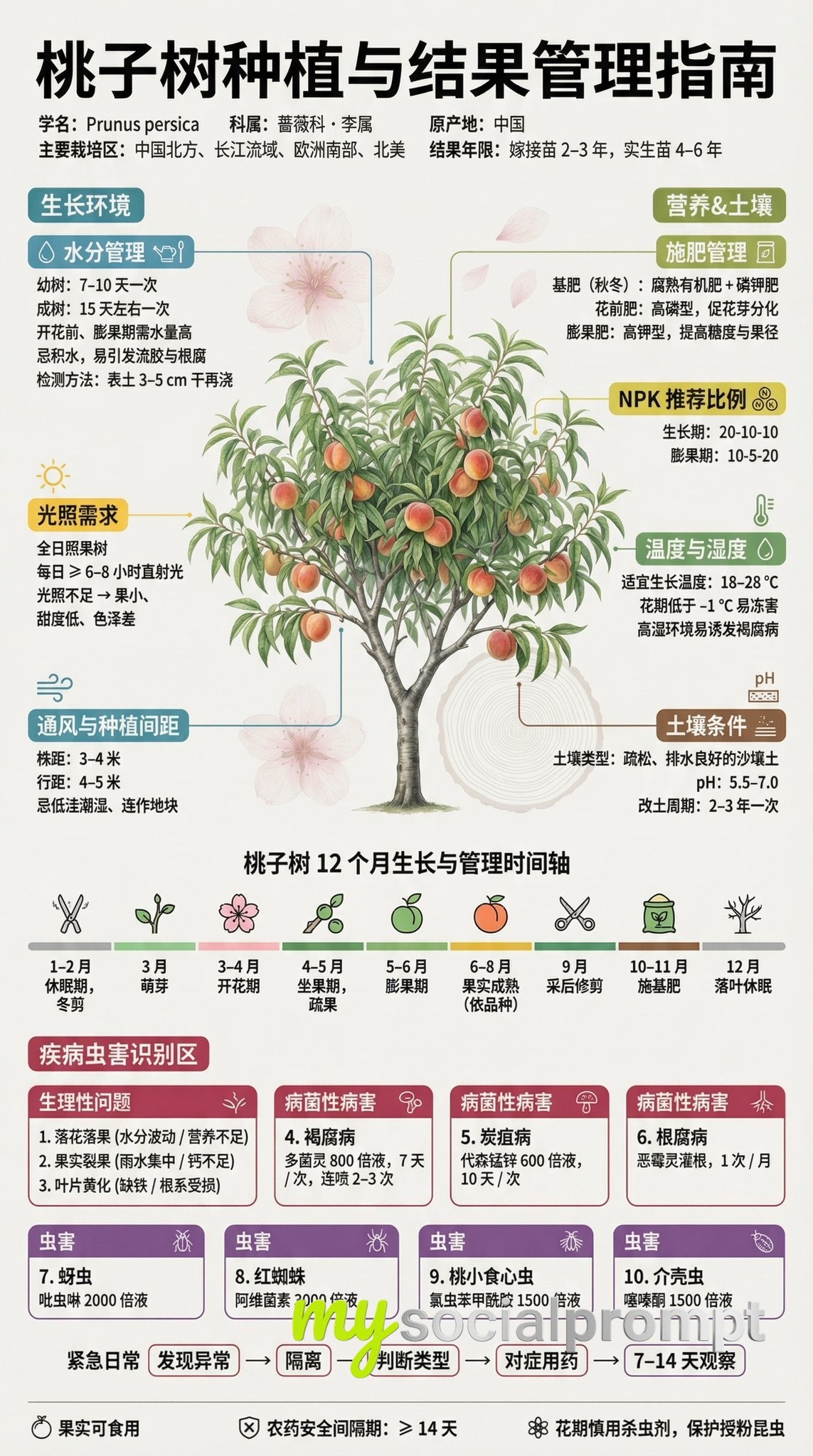nanobanana prompt: Museum-Grade Fruit Tree Cultivation Infographic with Scientific Data Visualization 2