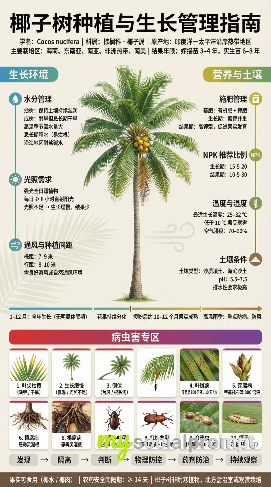 nanobanana prompt: Museum-Grade Fruit Tree Cultivation Infographic with Scientific Data Visualization 3
